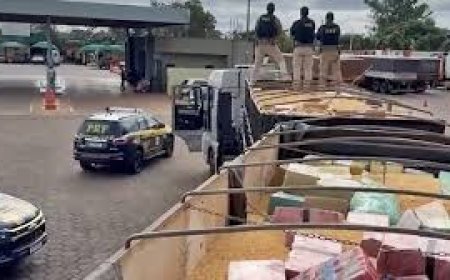 PRF realiza terceira maior apreensão de maconha da história em MS