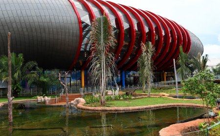 Bioparque Pantanal comemora três anos e se destaca no turismo científico brasileiro